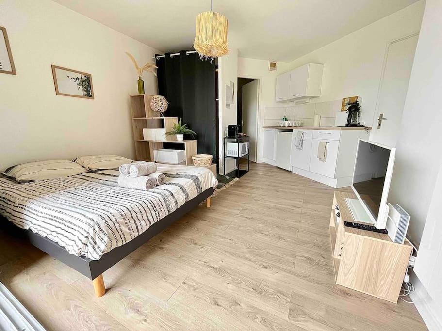 The Jungle Studio, Loggia & Parking Dans Residence 伊泽尔河畔的罗曼 外观 照片