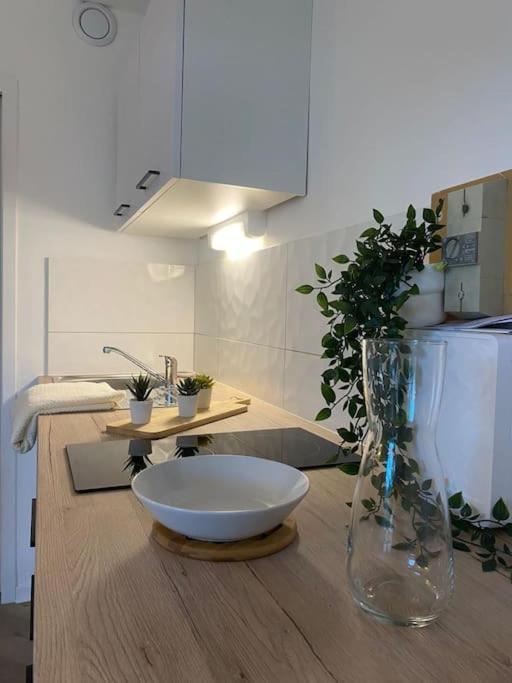 The Jungle Studio, Loggia & Parking Dans Residence 伊泽尔河畔的罗曼 外观 照片